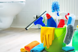 Messie Reinigung Jena